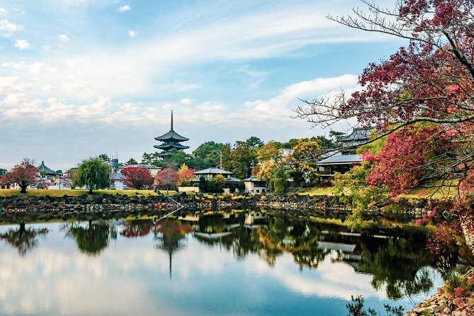 Nara Like a Local: Customized Private Tour - Real Experiences From Travelers