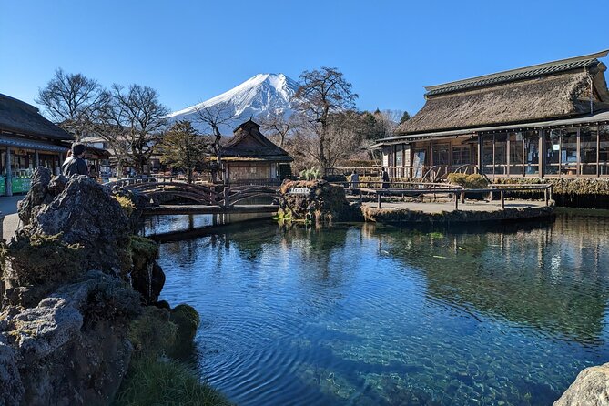 Private Day Tour From Tokyo: Customized Mount Fuji Highlights - Real Reviews From Past Travelers