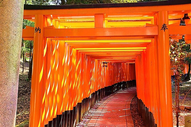 Complete Kyoto Tour in One Day! Explore All 12 Popular Sights! - Just The Basics