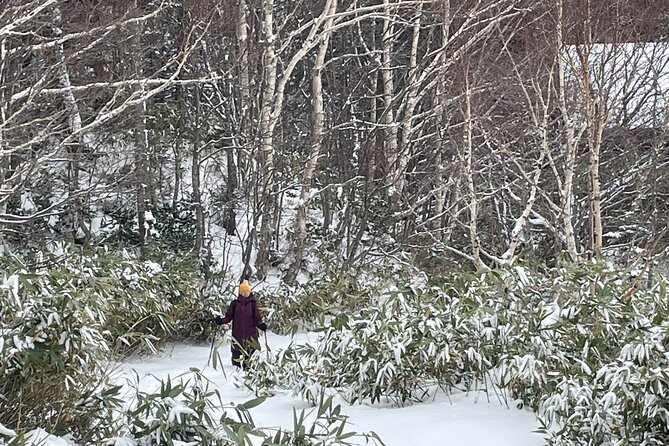 Full Day Snowshoeing Adventures With Onsen. - Just The Basics