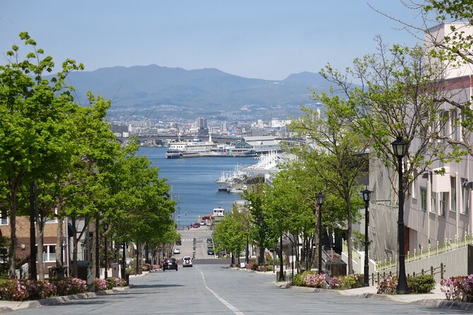 Half Day Hakodate Tour With Government Licensed English Guide - Just The Basics