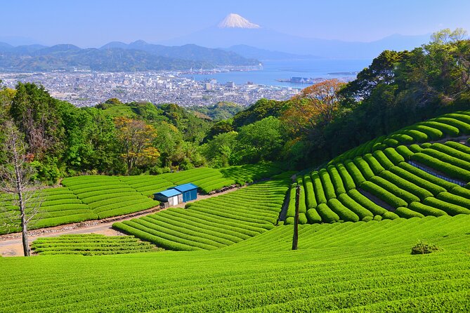 Half Day Private Sightseeing Tour From Shimizu Port /Small Bus - Just The Basics