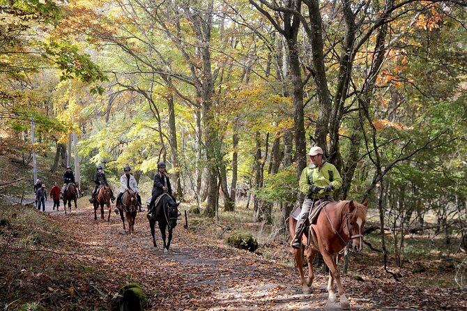 Horse Riding Experience in Nature Rich Lake Shirakaba - Just The Basics