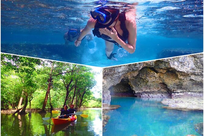 [Ishigaki]Mangrove SUP/Canoe + Blue Cave Snorkeling - Just The Basics