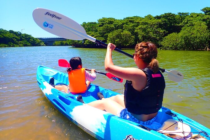 [Ishigaki]Mangrove SUP/Canoe Tour - Just The Basics