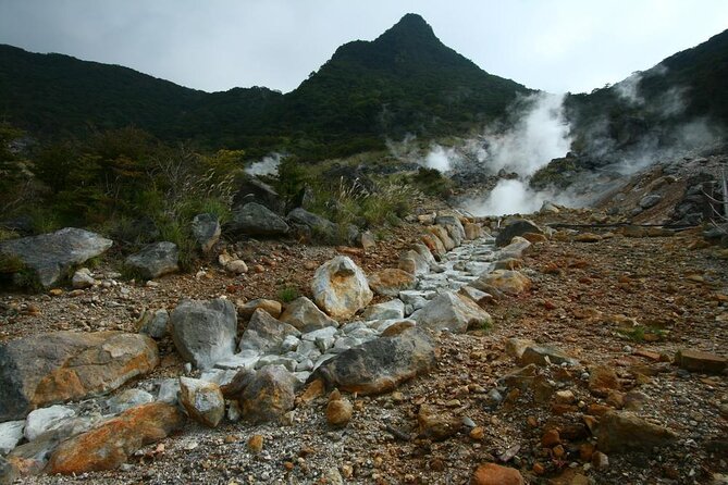 Lake Ashi Hakone Owakudani Kowakien With Daily Chauffeur - Just The Basics