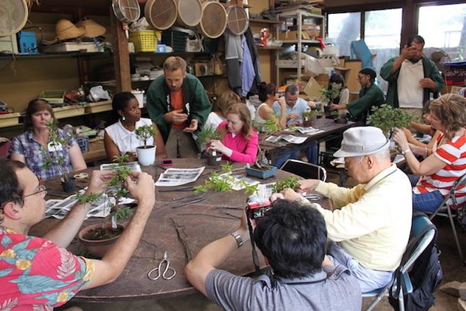 Make Your Own BONSAI With a Professional Artist in Tokyo - Just The Basics