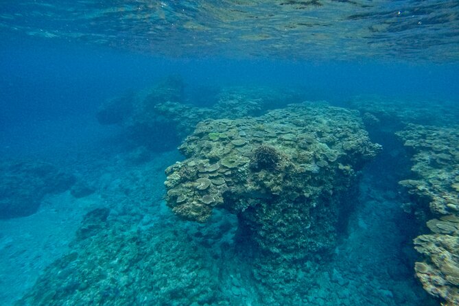 NAHA Snorkeling Boat Trip (Afternoon Half-day ) - Just The Basics