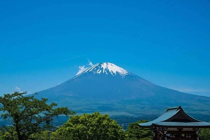 Oshino Hakkai and Hot Spring Trip From Tokyo to Mt. Fuji - Just The Basics