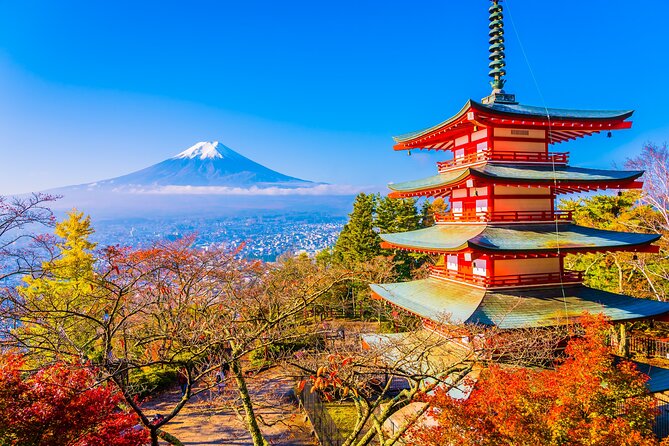 Private Sightseeing Tour to Mt Fuji and Hakone Guide - Just The Basics