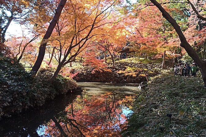 Private Walking Tour, Tokyo Great Buddha, Botanical Garden, Etc. - Just The Basics