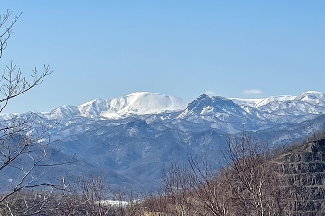 Snowshoeing and Onsen Adventures in a Winter Wonderland -Sapporo. - Just The Basics